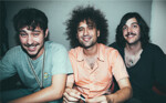 imagen-promocional-the-parrots